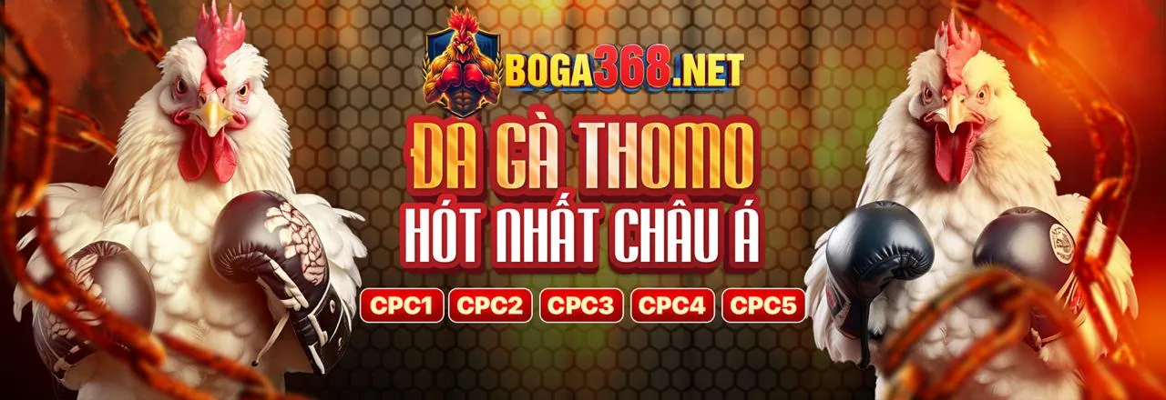 Hình ảnh các loại mã i8bet phổ biến